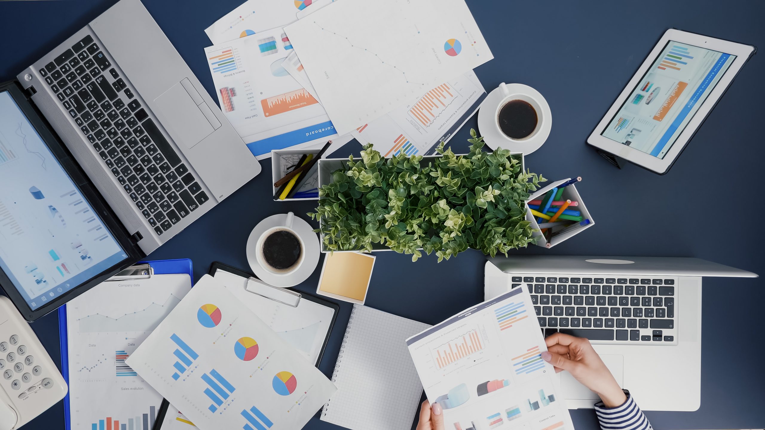 Top view of manager woman analyzing financial paperwork strategy typing expertise on laptop working in startup office. Businesswoman developing management accounting statistics braistorming ideas